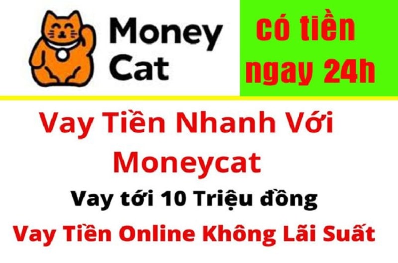 vay tiền moneycat 3